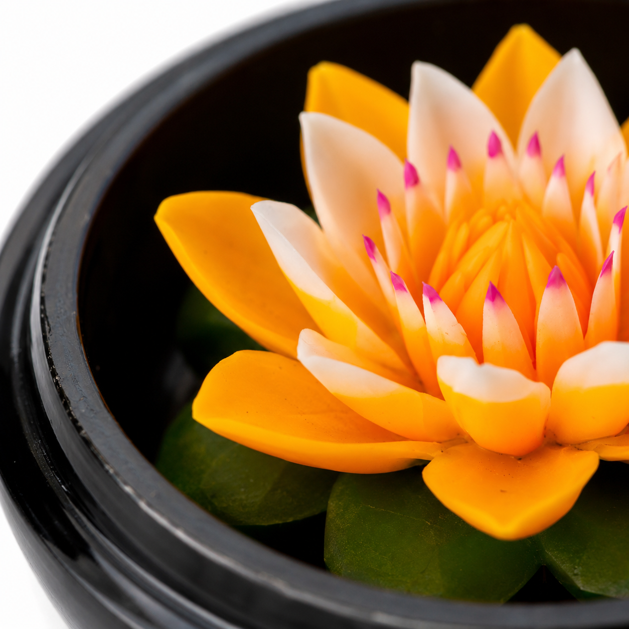 Lotus Jaune