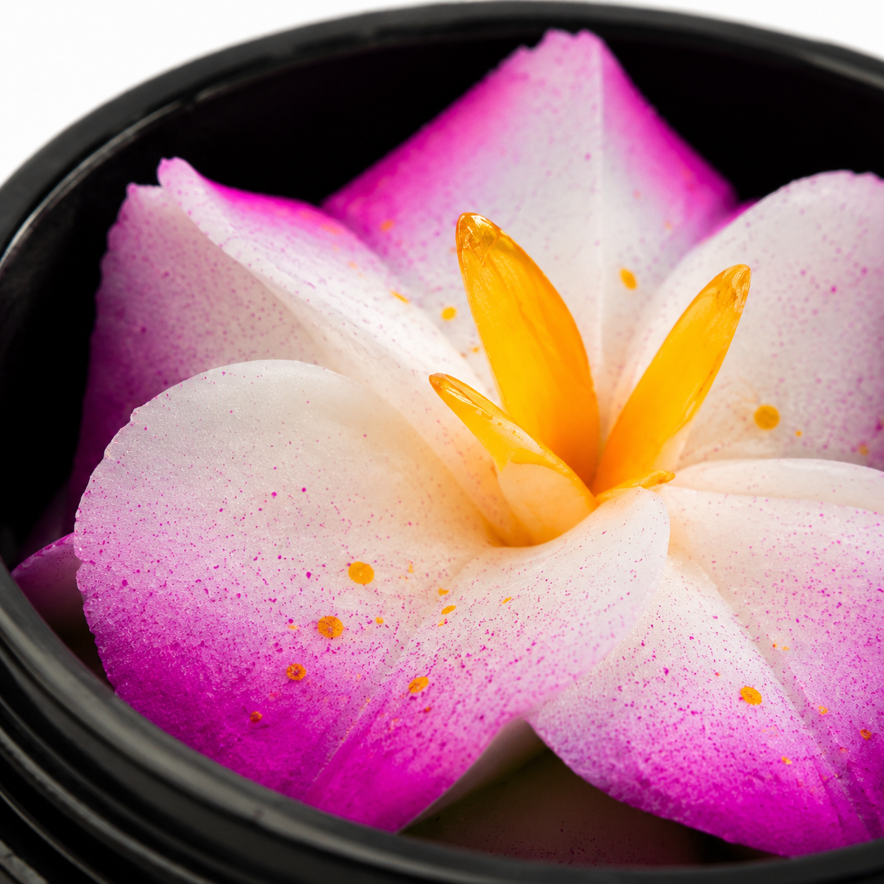 Orchidée suprême