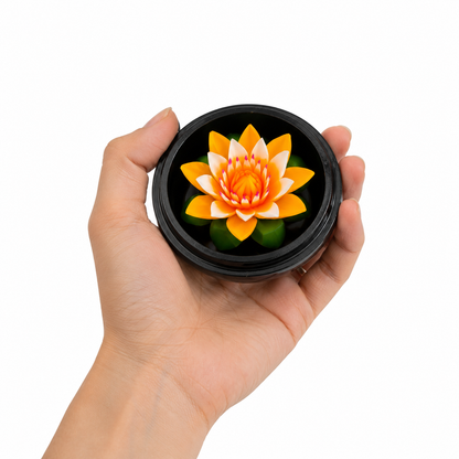 Lotus Jaune